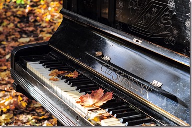 Piano d'occasion