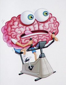 Cerveau