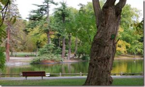 parc_bordelais_thumb
